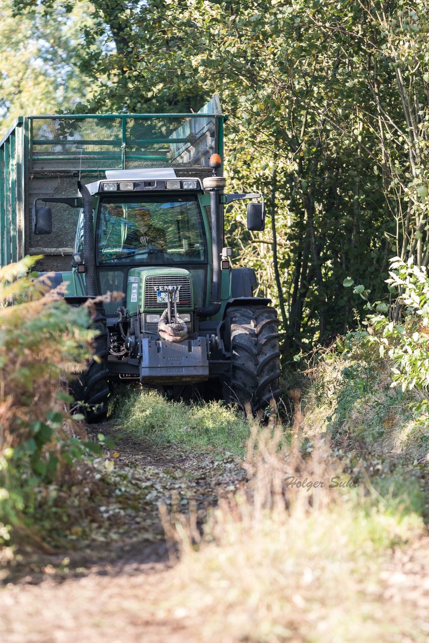 Bild 123 - Maisernte